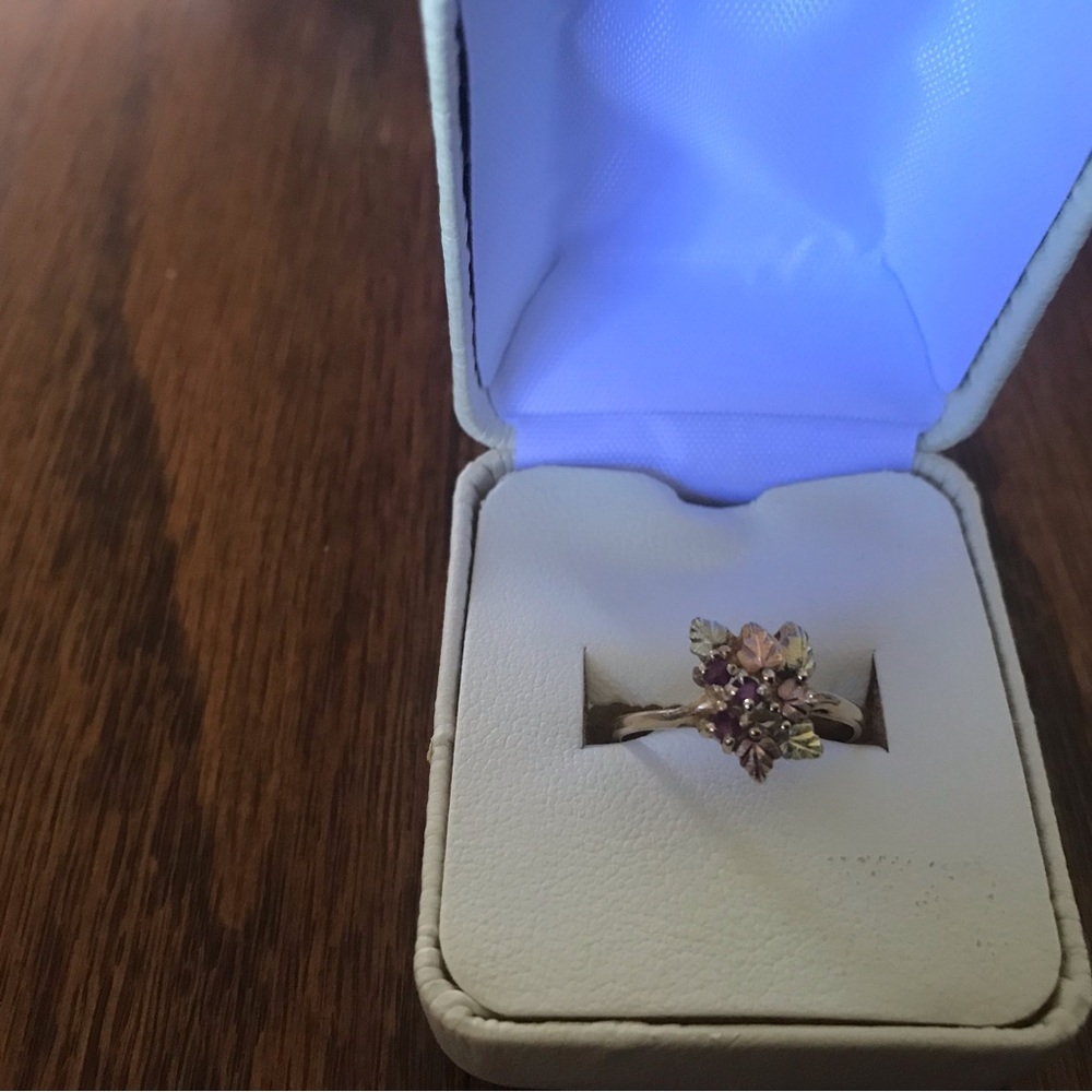 Rare 10k Black Hills Gold Ruby Ring Size 8